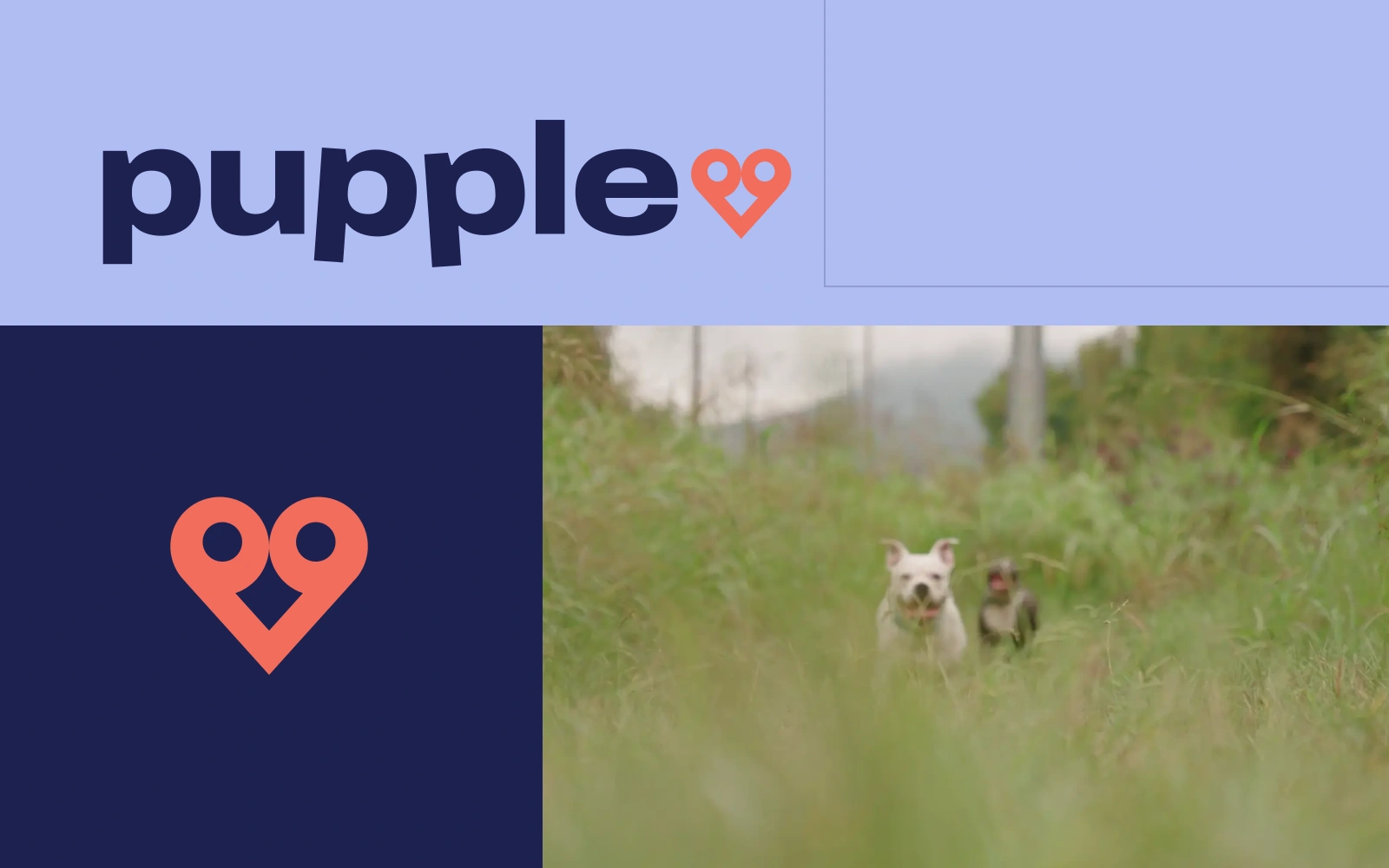 Pupple identity and pet community website